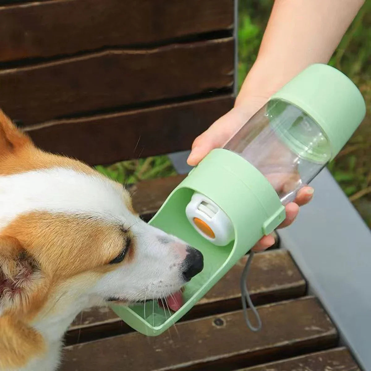 THE Walkies Water Bottle