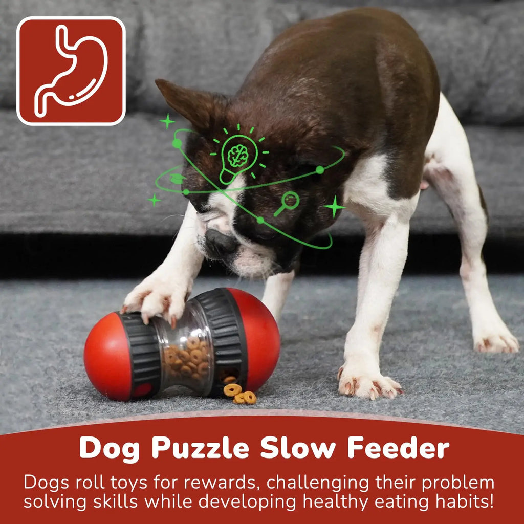 THE Treat Seeker Ball