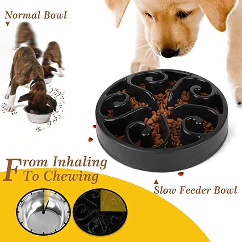 THE Slow Snack Bowl