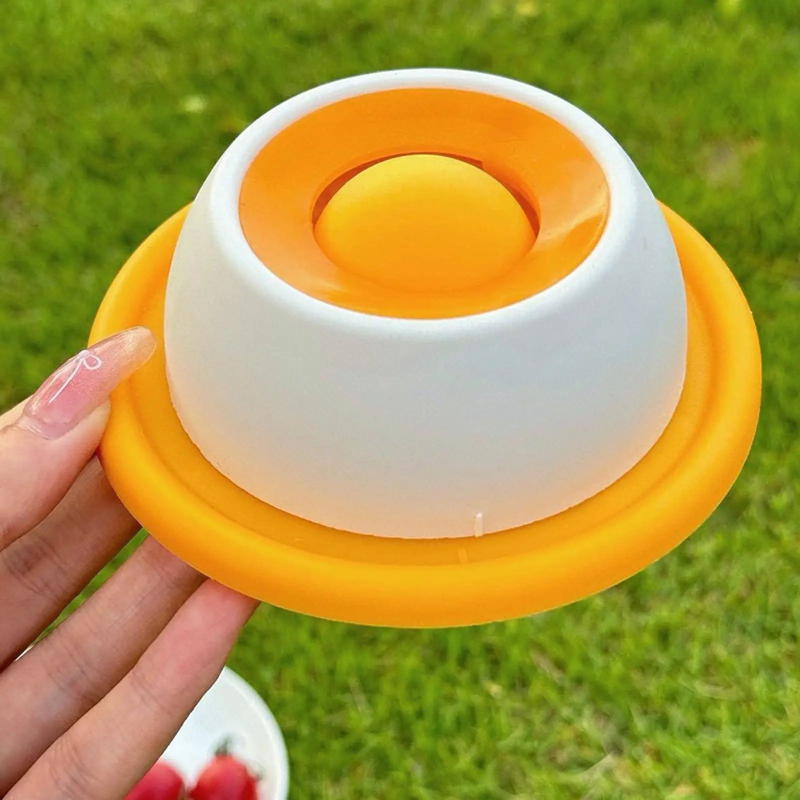 THE Lick Bowl