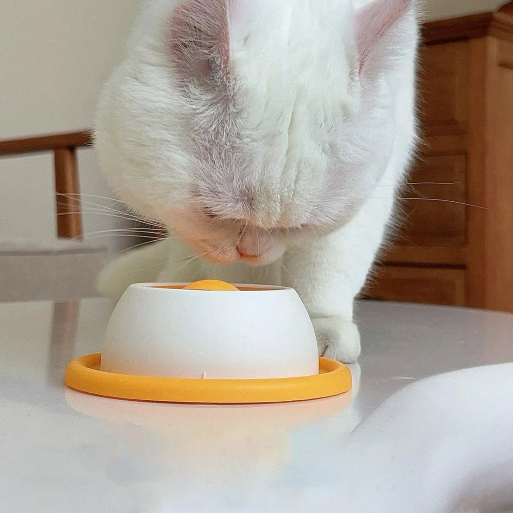 THE Lick Bowl